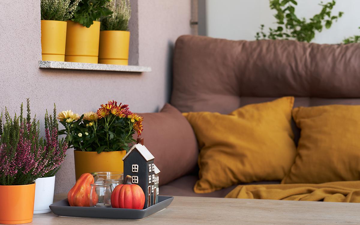 Фото: Rudenko Alla / Shutterstock / FOTODOM