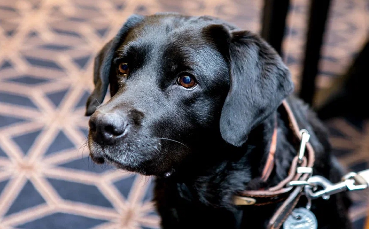 Фото: РБК Уфа