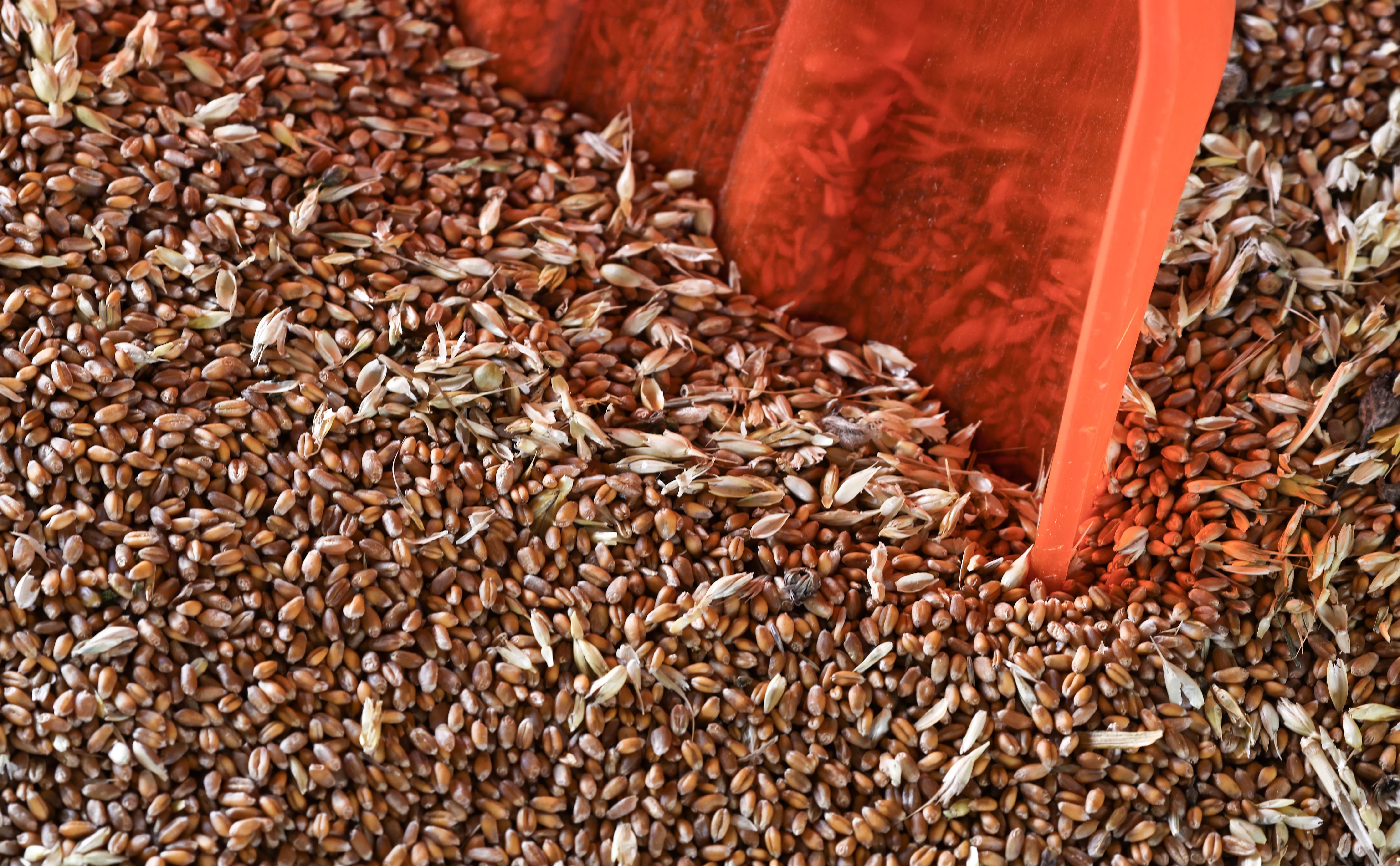 Александр Рюмин / ТАСС