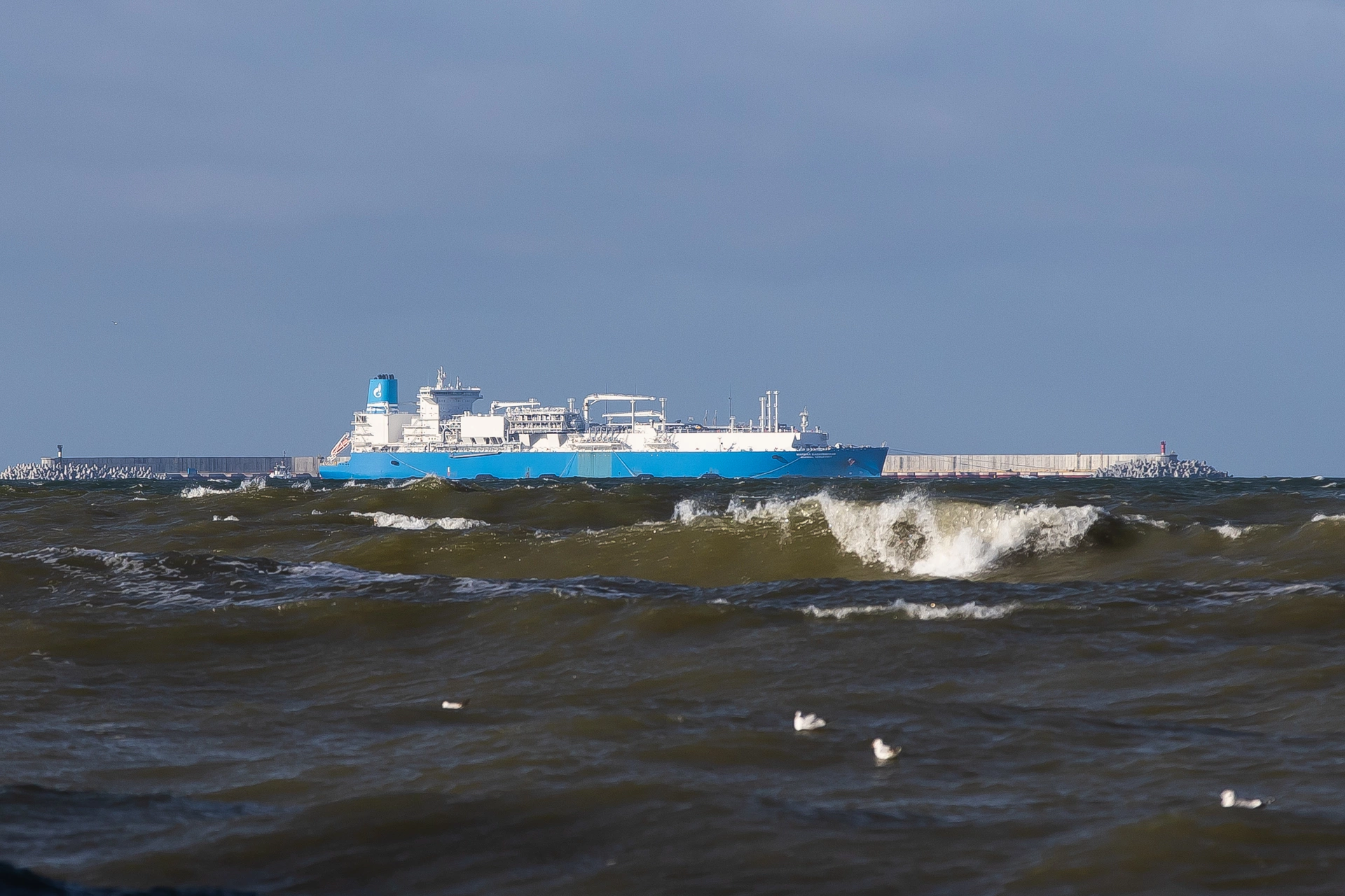 Александр Подгорчук