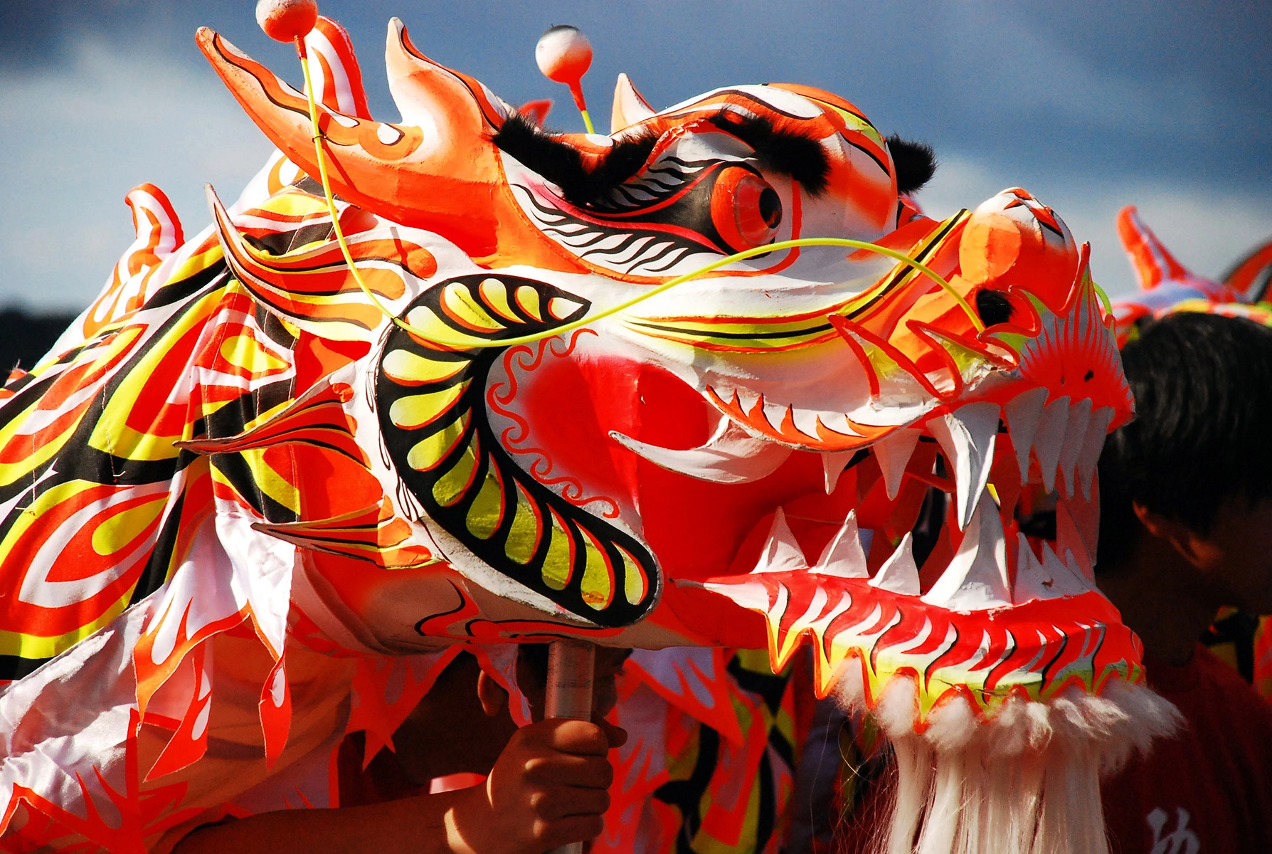 <p>В китайской культуре дракон символизирует светлое начало ян</p>

<p></p>