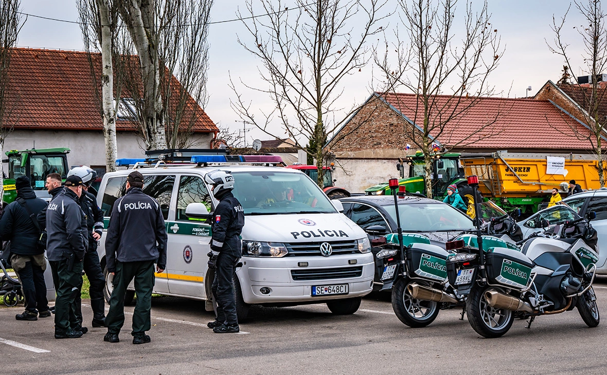 Birdlandia SK / Shutterstock