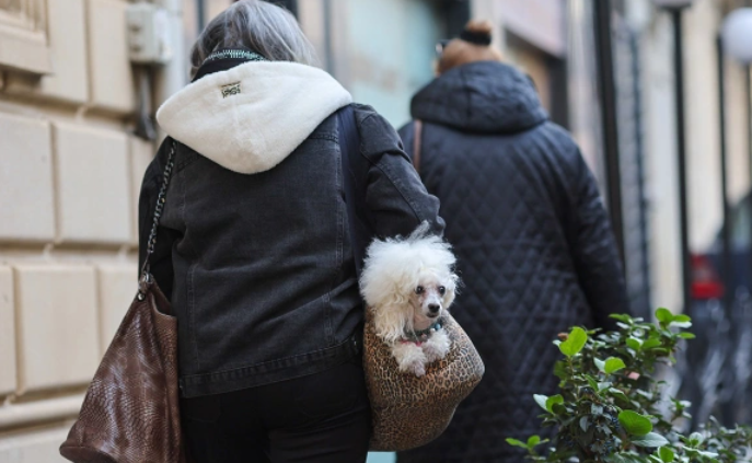 Алексей Белкин / news.ru / Global Look Press