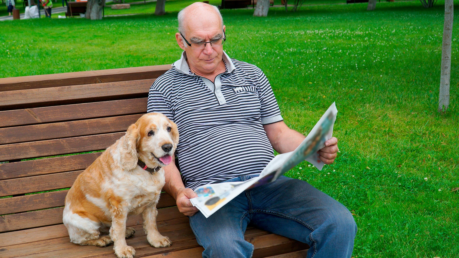 Pensioner / Shutterstock / FOTODOM