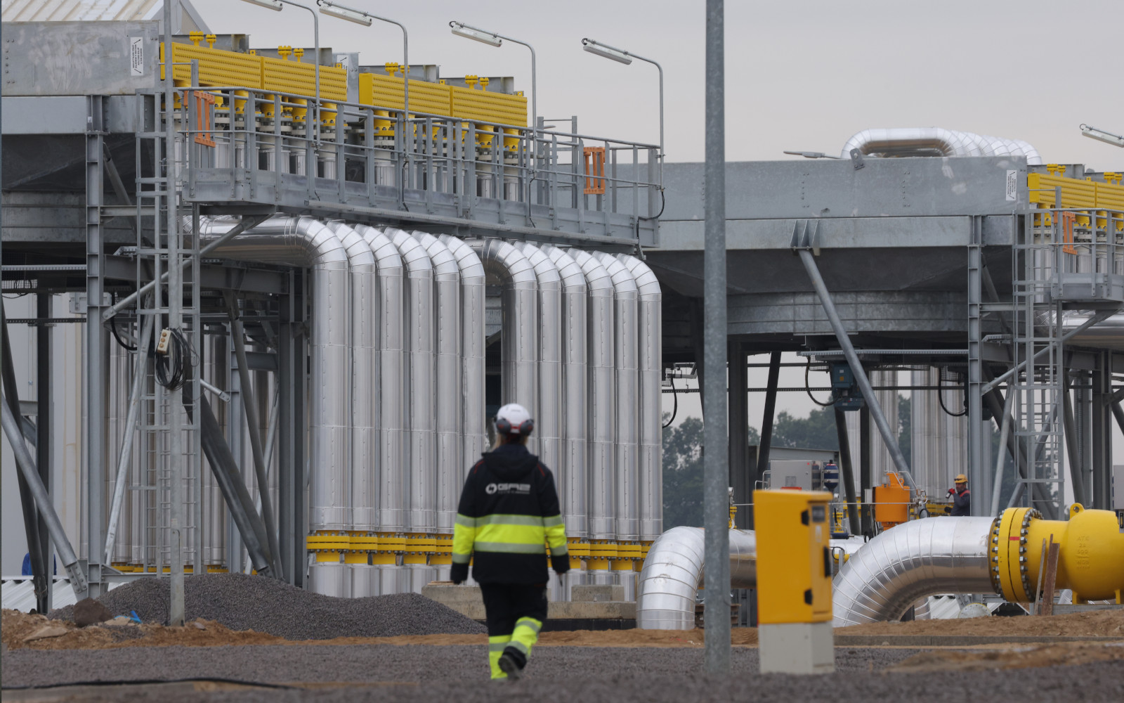 Фото: Sean Gallup / Getty Images