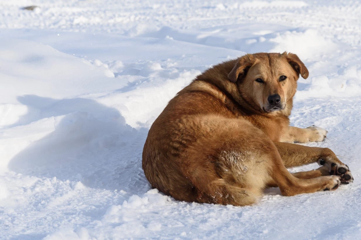 Илья Московец / РИА URA.RU