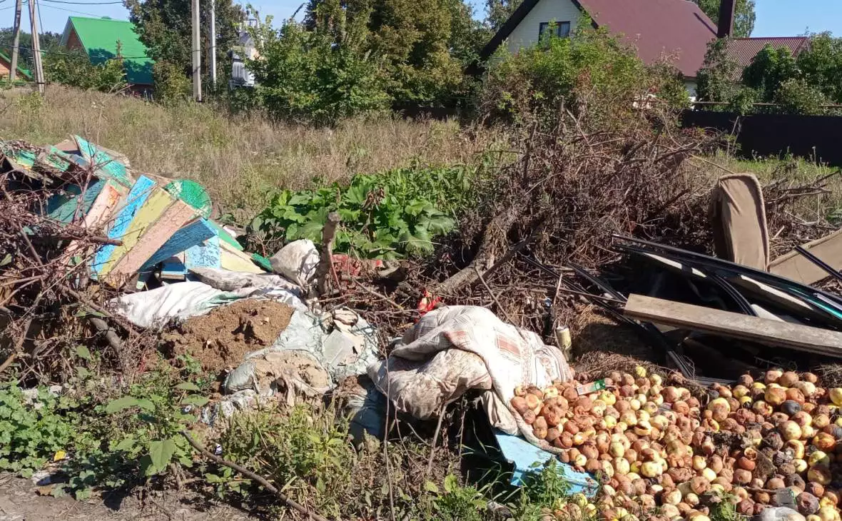 РБК Черноземье