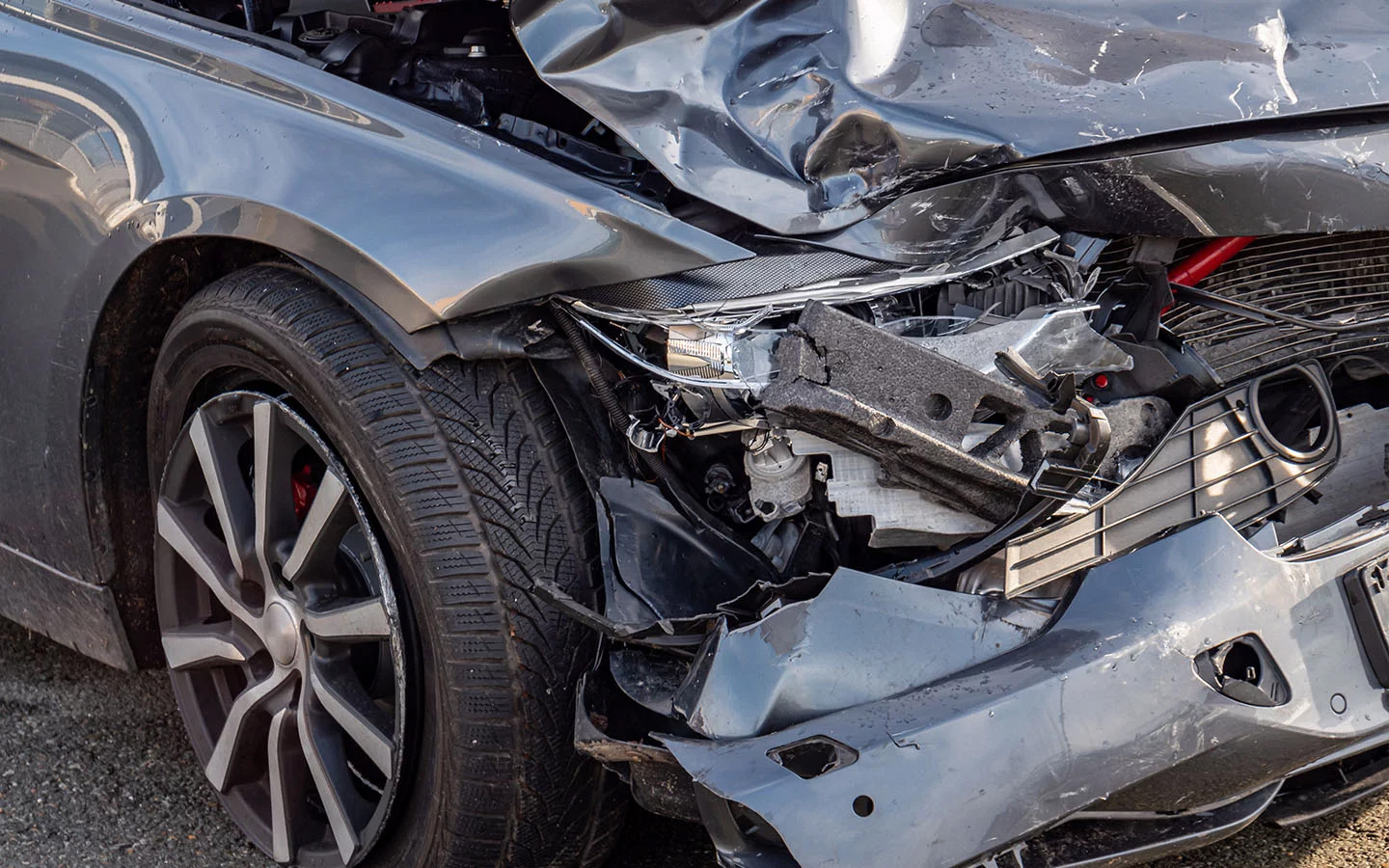 Фото: Animaflora PicsStock / Shutterstock / FOTODOM