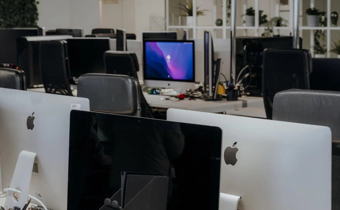 Михаил Гребенщиков / РБК