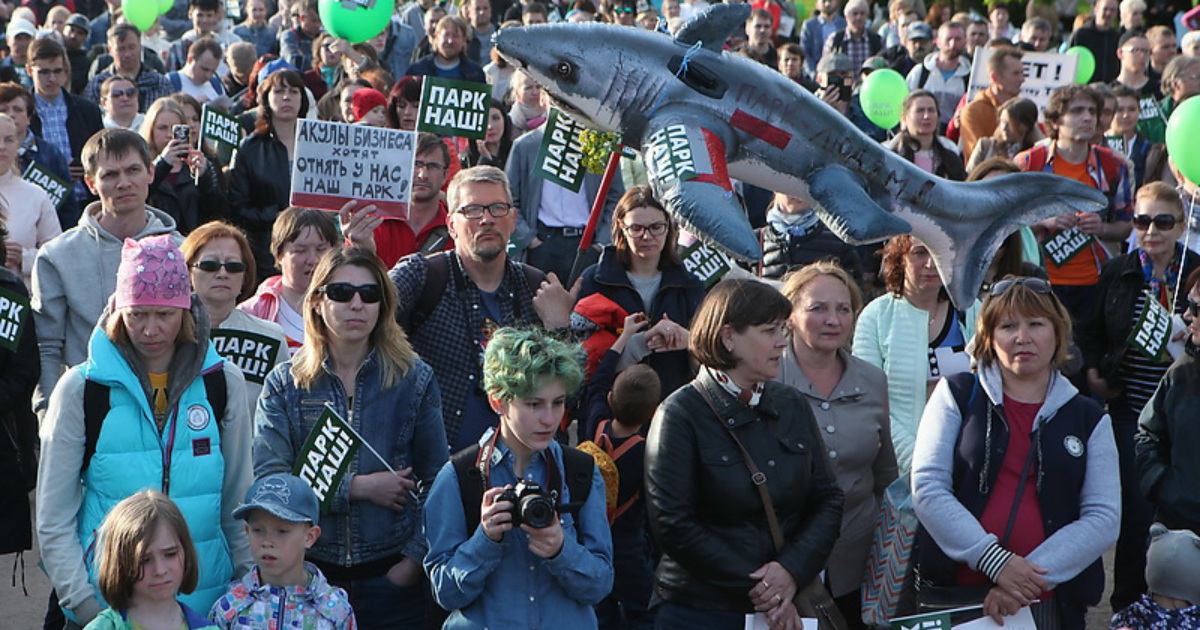 женщина с собакой упала. беспризорные собаки. спасти горожанина. спасти горожанина. изменения в графике работы.