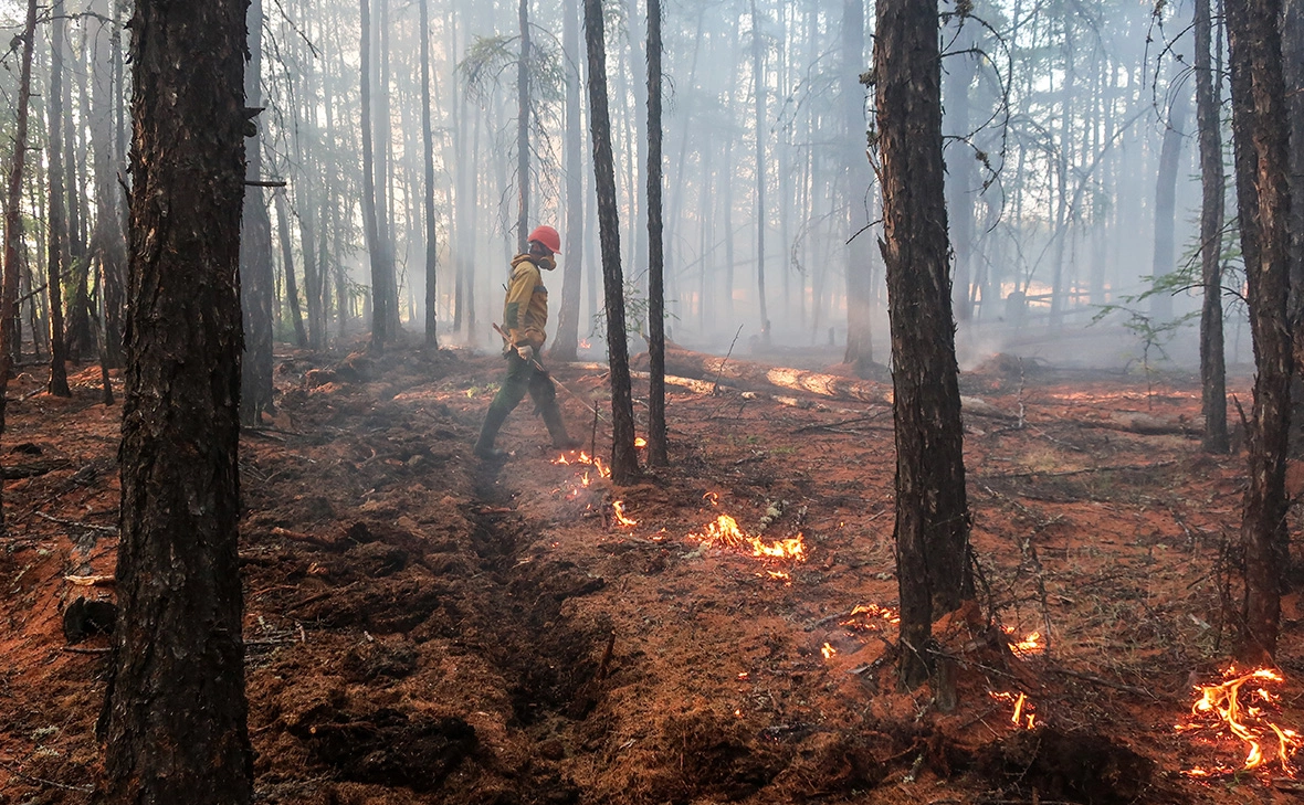 Евгений Софронеев / ТАСС