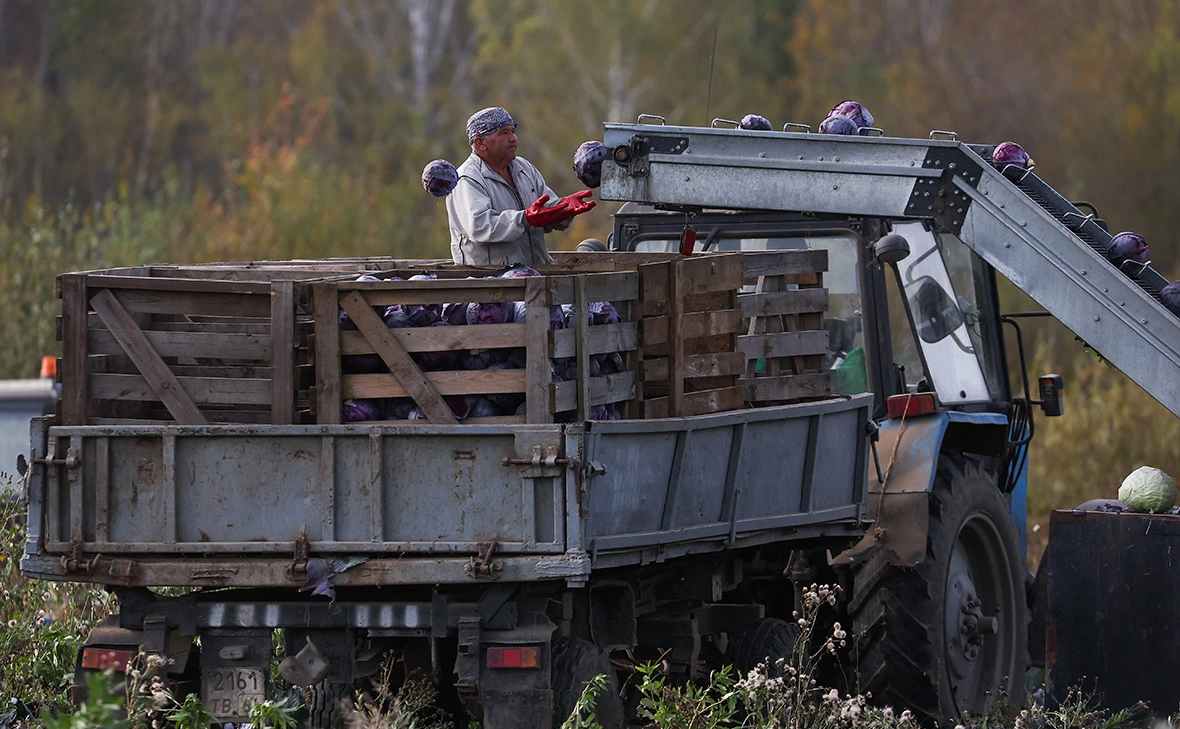 Донат Сорокин / ТАСС