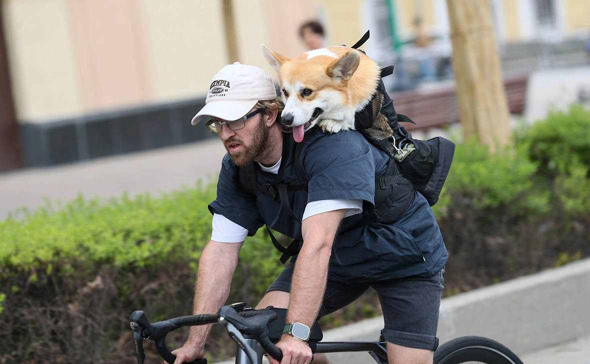 Василий Кузьмичёнок / АГН «Москва»