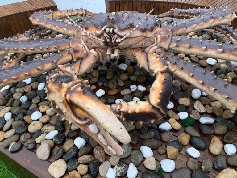 РБК Приморье