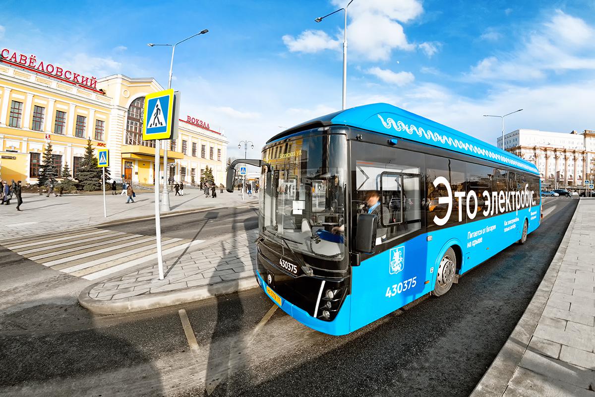 Фото: vaalaa / Shutterstock / FOTODOM