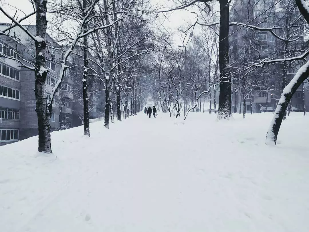 РБК Приморье