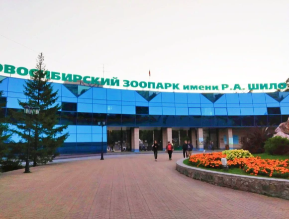 Фото: Алексей Коваленок / РБК Новосибирск