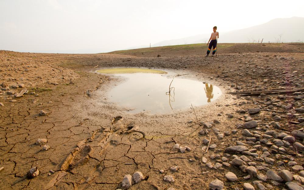 Фото: Shutterstock