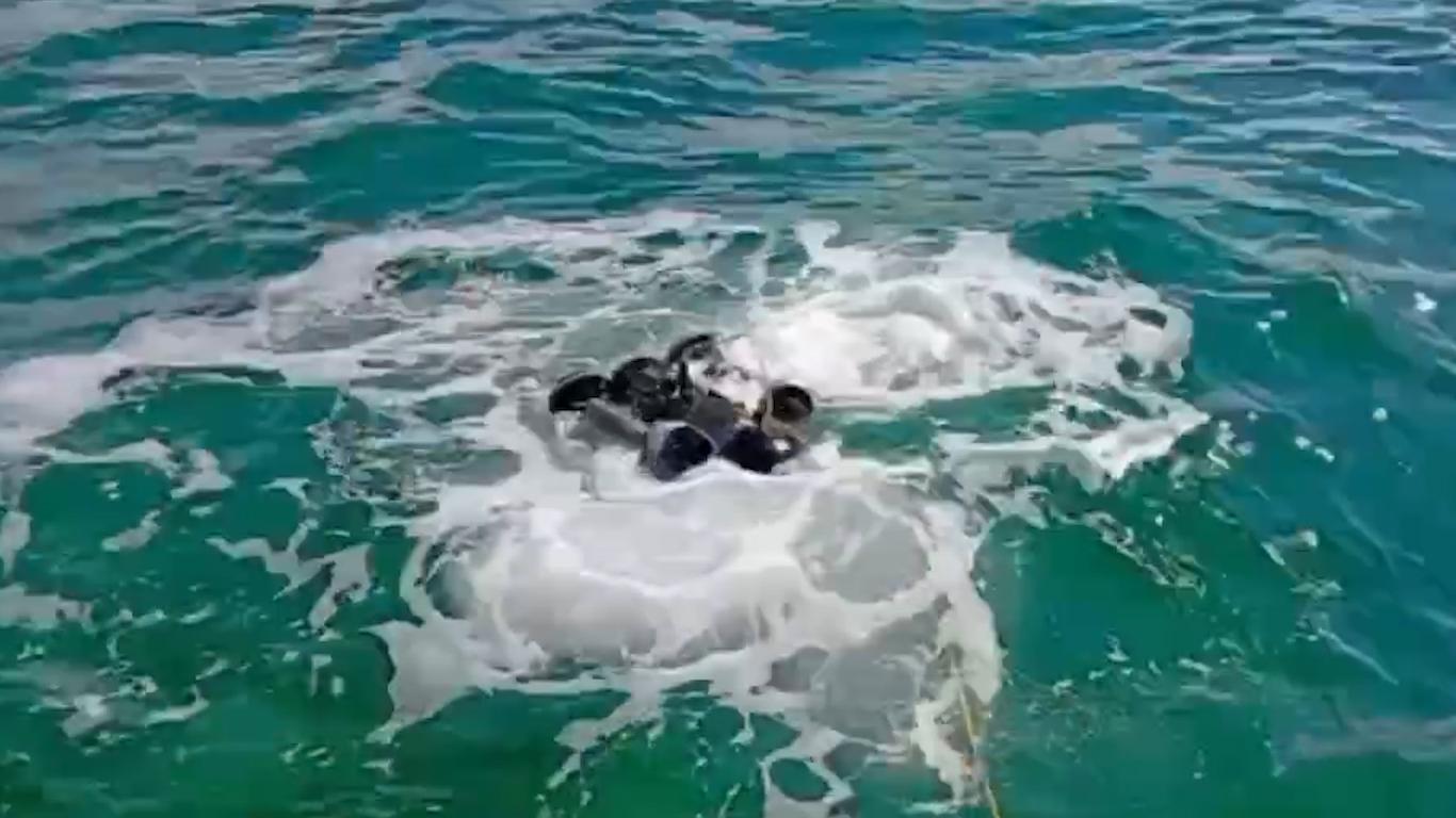 К мазуту ныряет дрон: как из Черного моря вытащили еще 920 мешков. Видео