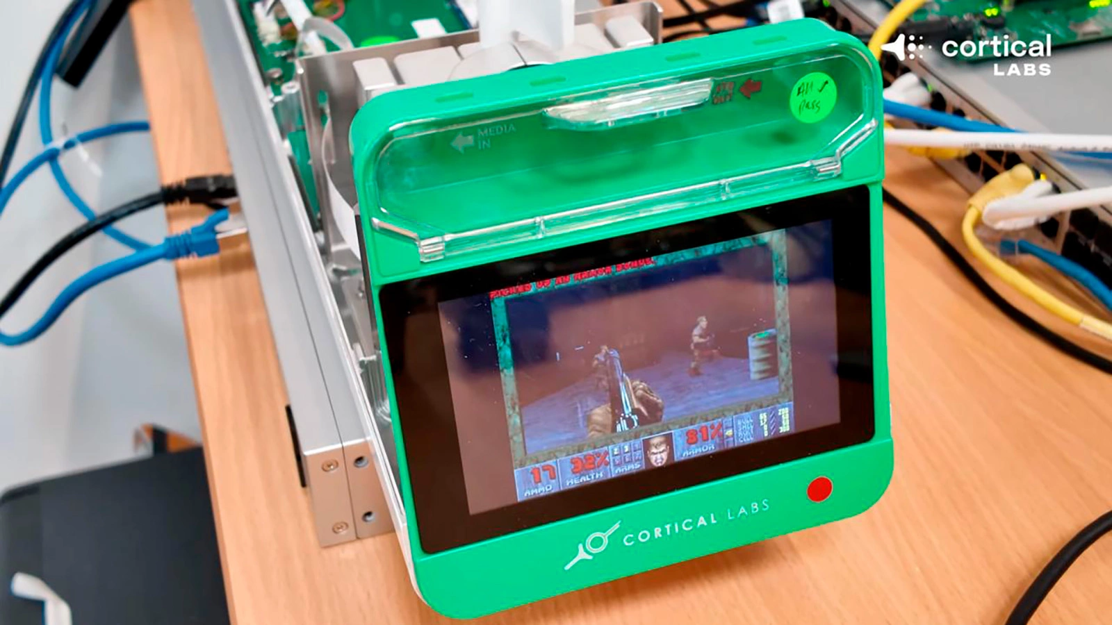 Разработка Cortical Labs