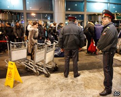 НАК: Меры безопасности в Домодедово были недостаточными