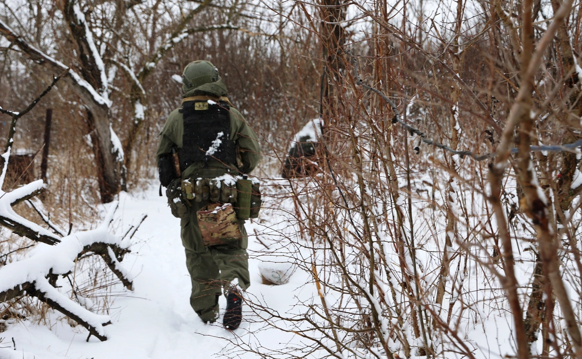 Сергей Аверин / РИА Новости