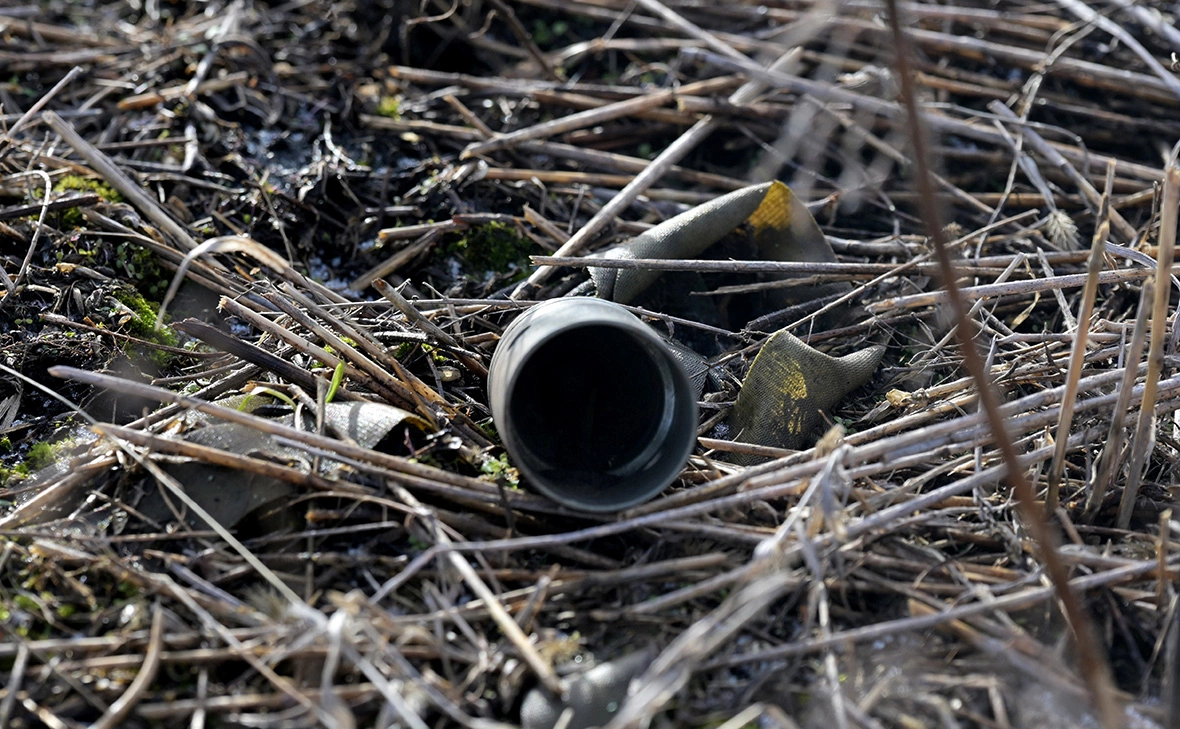 Евгений Биятов / РИА Новости