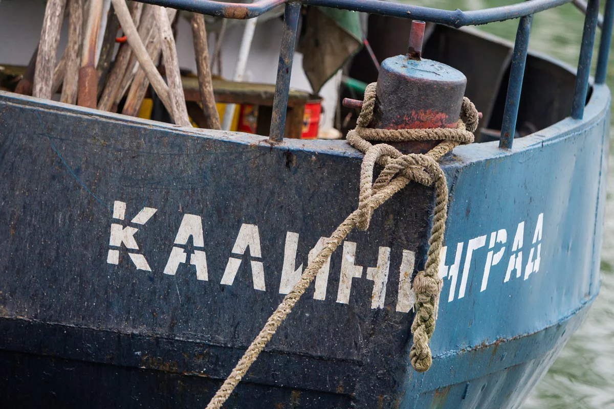 Александр Подгорчук