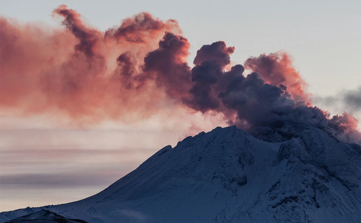 Елена Верещака / ТАСС