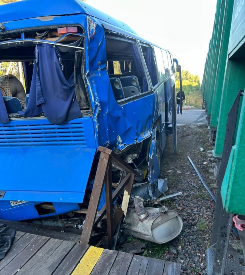 Фото: ГУ МВД по Санкт-Петербургу и Ленобласти