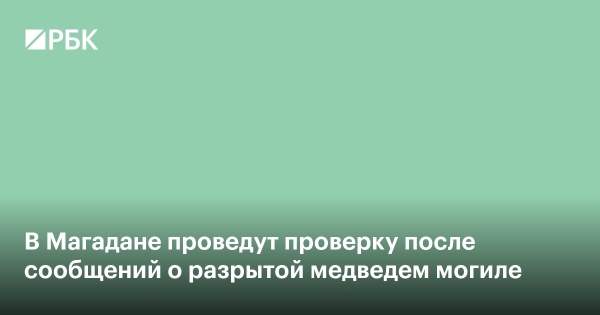 В Магадане проведут проверку после сообщений о разрытой медведем могиле