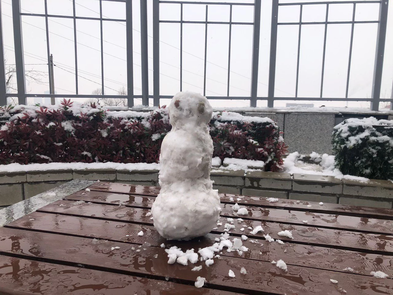 РБК Приморье