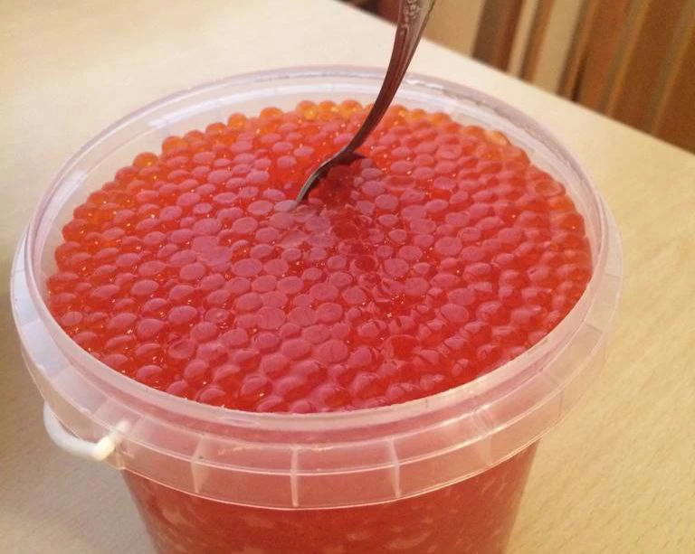 РБК Приморье