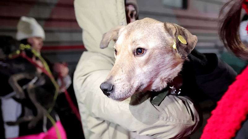 Фото: администрация города Владивостока