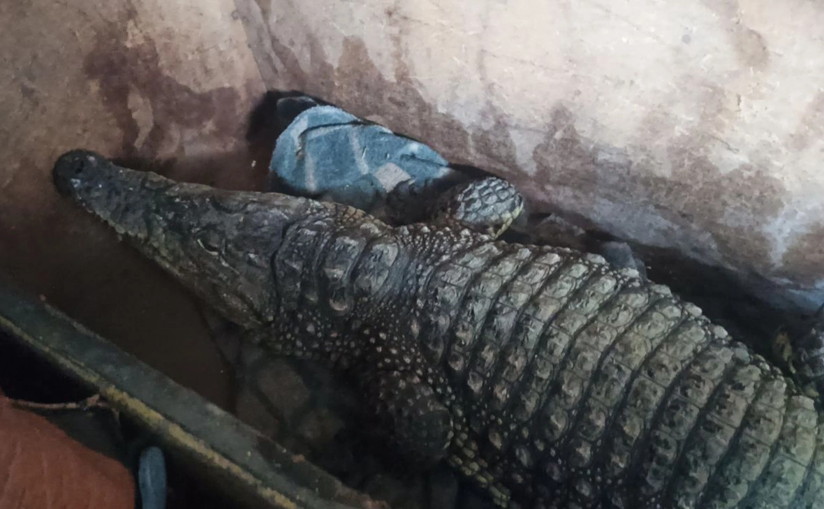 Федеральная таможенная служба