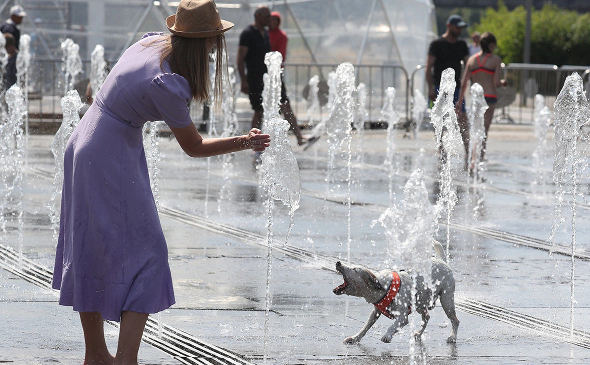 Андрей Любимов / РБК