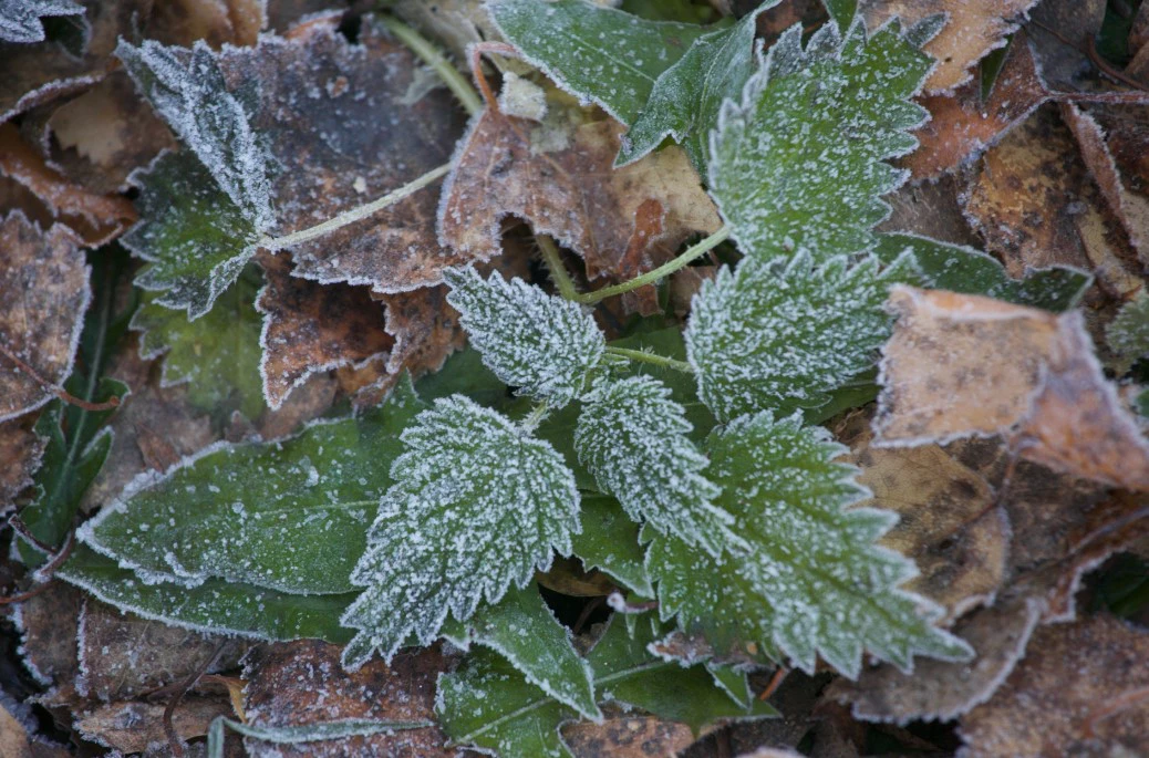 Денис Моргунов / URA.RU 