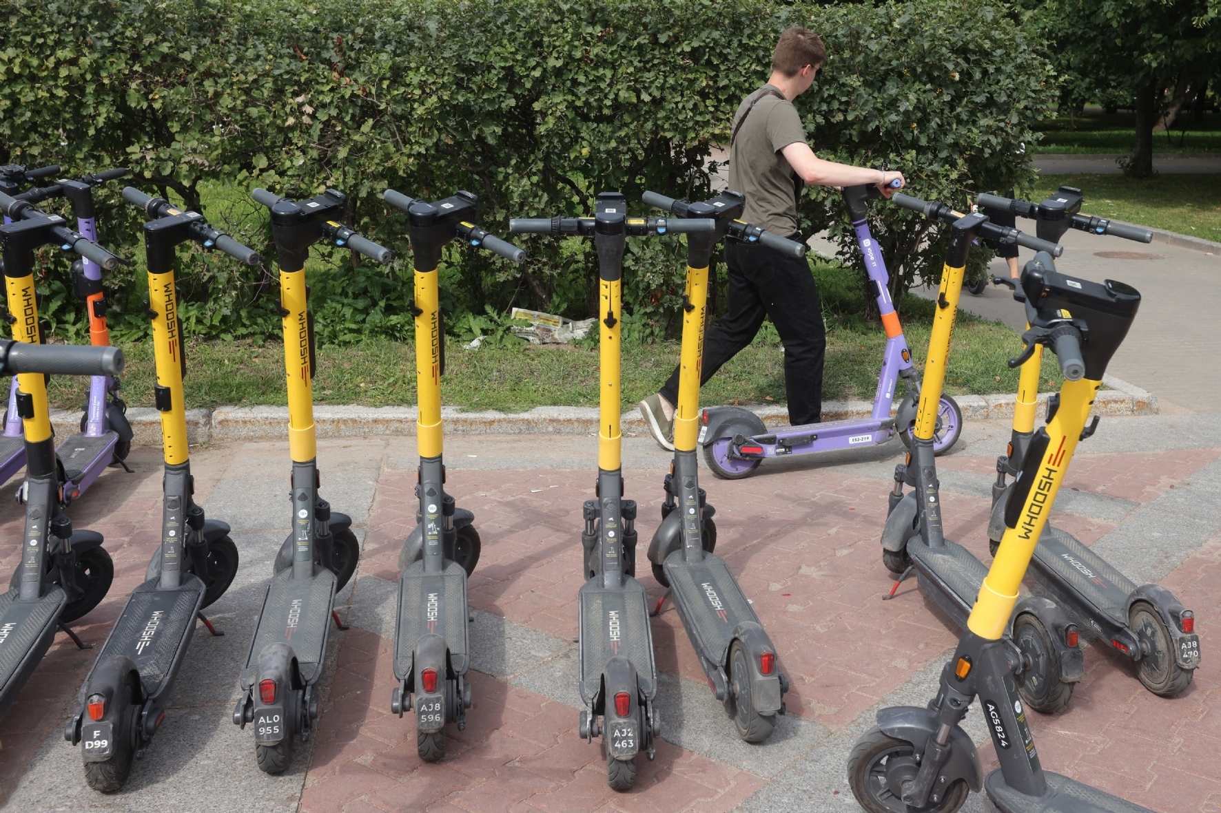 Фото: PhotoXPress.ru