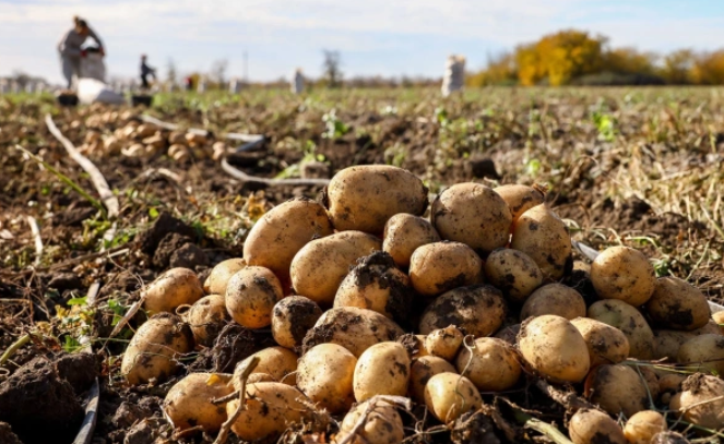 Сергей Мальгавко / ТАСС