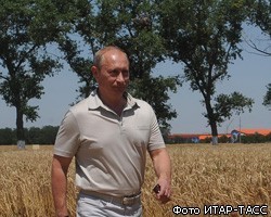 В.Путин: В России в 2011г. будет собрано 95 млн т зерна