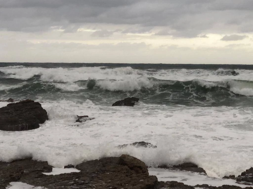 РБК Приморье