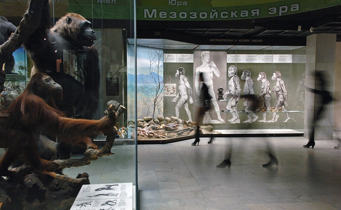 Сергей Пятаков / РИА Новости