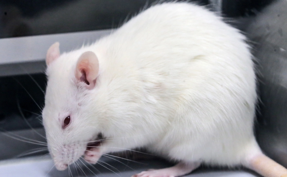 Сергей Савостьянов / ТАСС