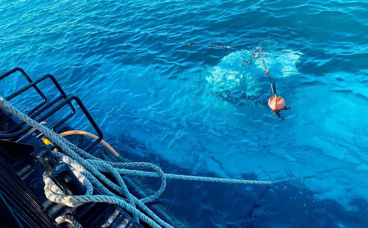 Ali Awad / XinHua / Global Look Press