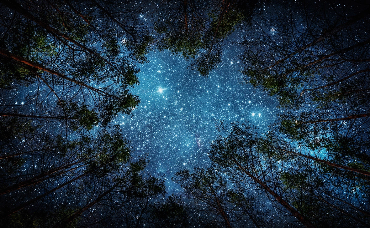 Triff / Shutterstock