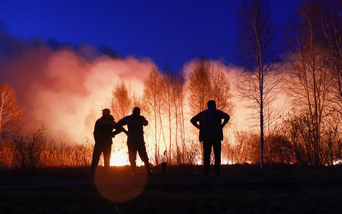 Путин заявил об значительном ущербе от природных пожаров в этом году"/>













