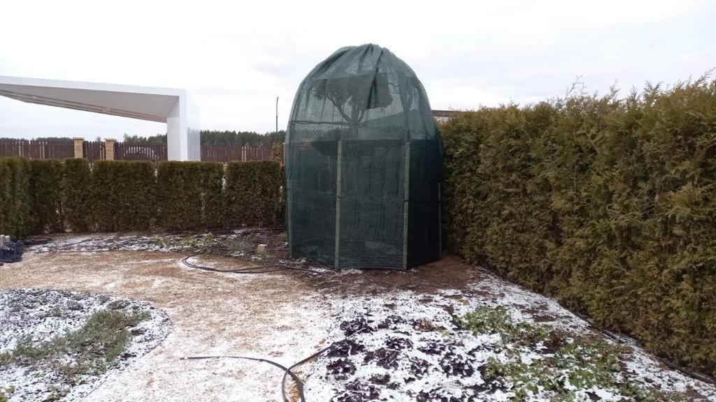 Зимняя защита садового бонсая сеткой-теневкой на каркасе