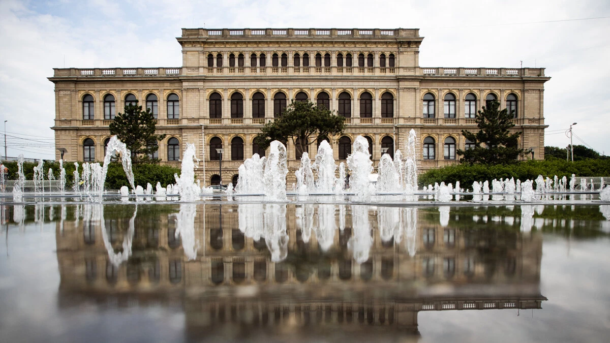 Александр Подгорчук