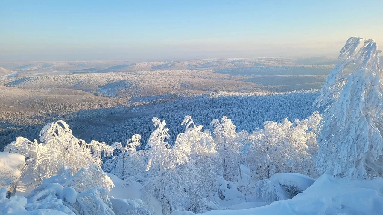 Государственный природный заповедник «Вишерский»