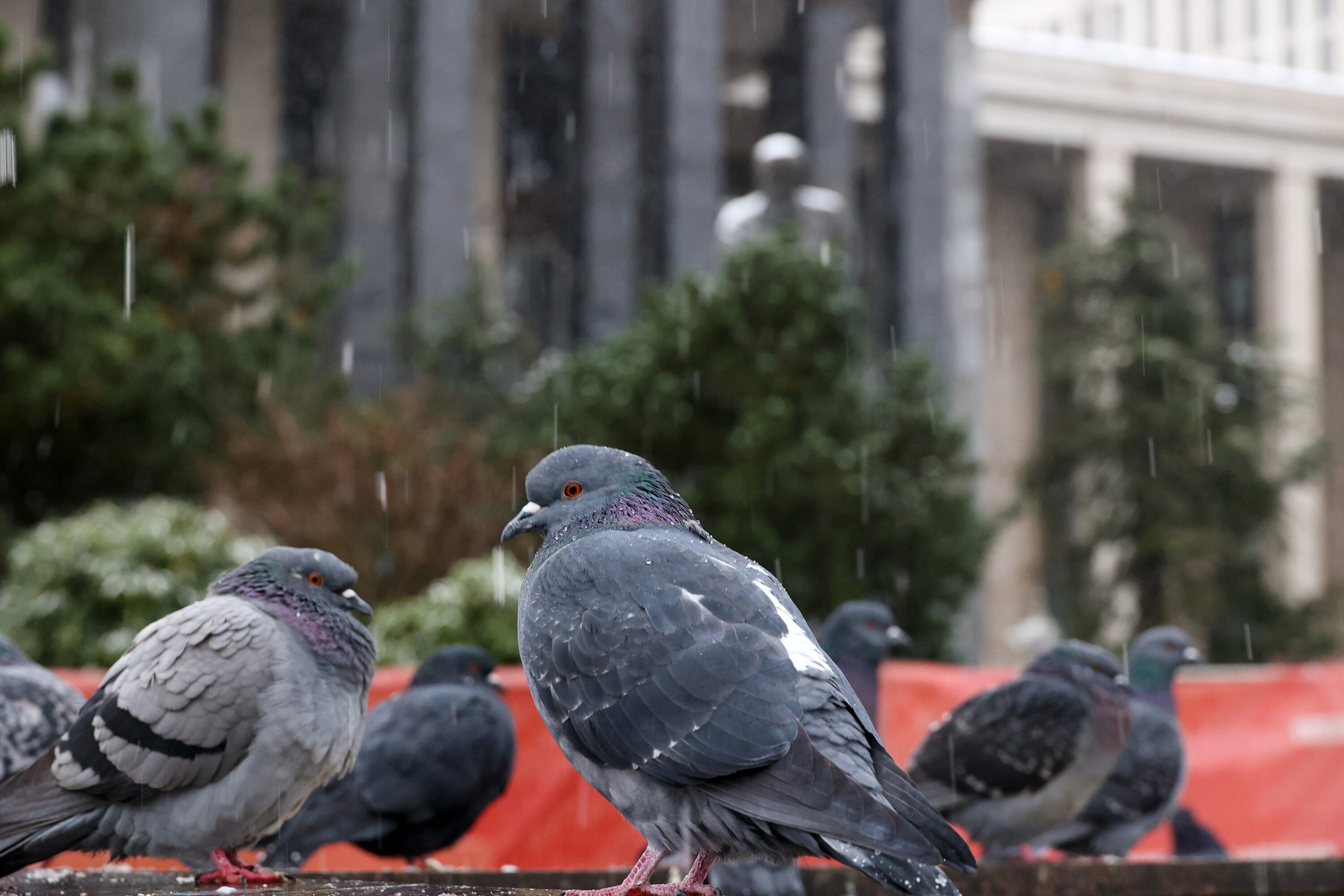 Фото:Ярослав Чингаев / АГН «Москва»